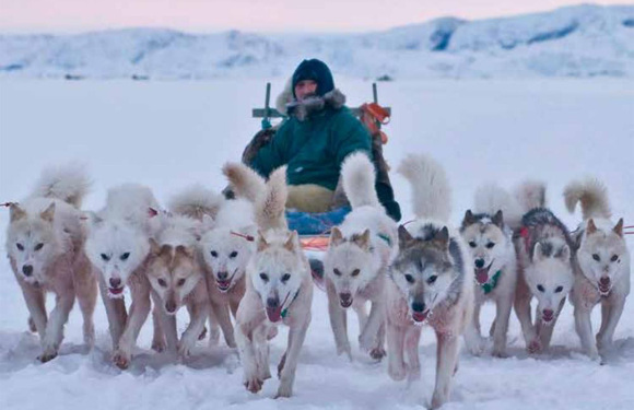 极至2024年4月格陵兰猎人传奇人文追寻之旅