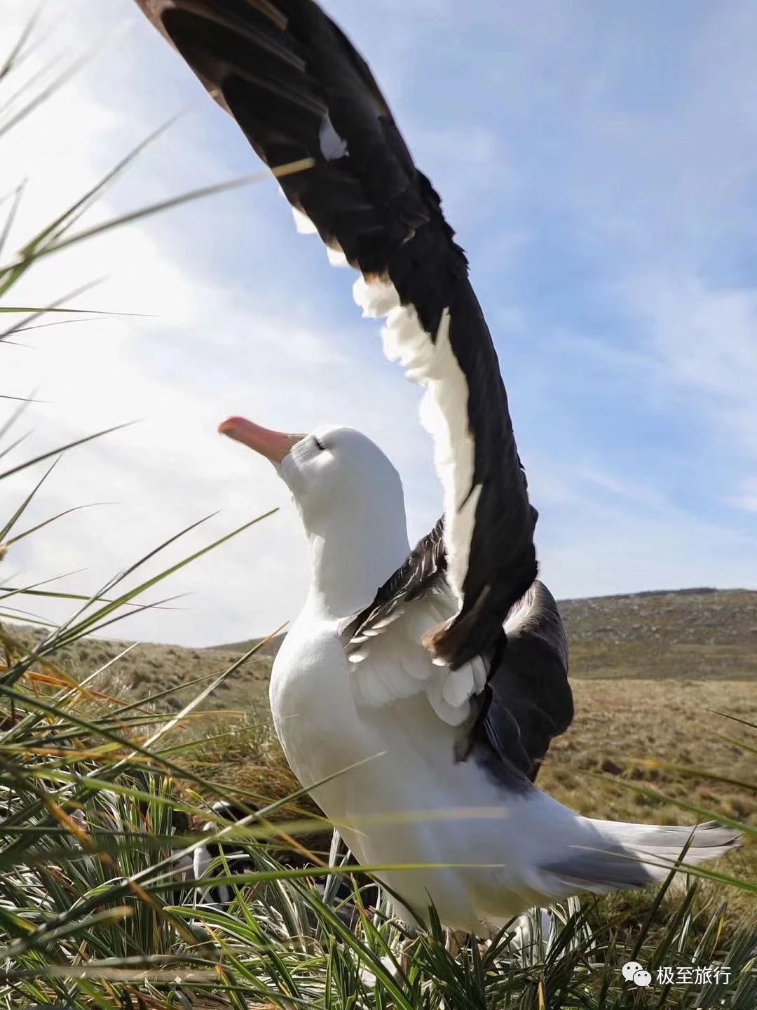 1747107101288549.jpg 50b7f45c5954505187f7f68bddd1eac7.jpg