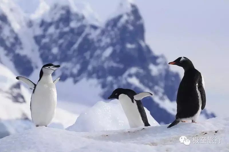 1747107284519089.jpg 3d45349c590488363062e24e02dcbc1b.jpg