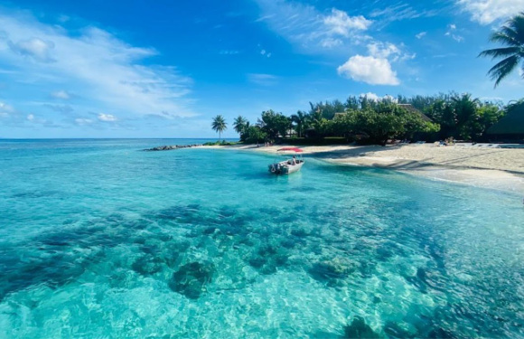 极至2026年3月大溪地