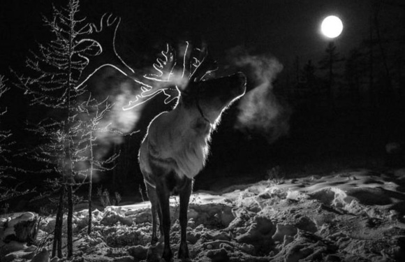 2026年3月蒙古国极北秘境巡礼