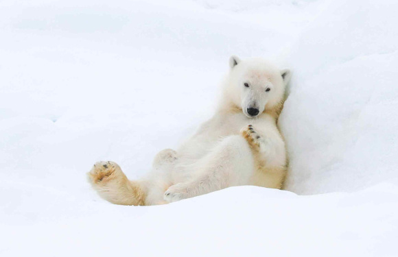 (28天)2026年极至北极法罗+格陵兰+斯瓦尔巴德群岛深度探索之旅