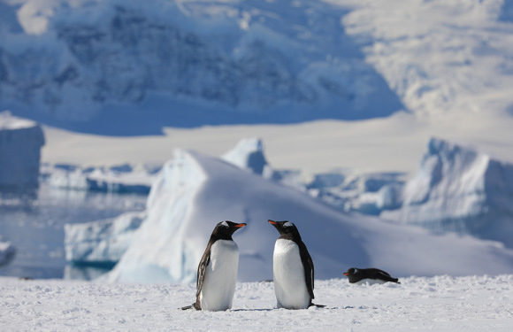 2026年极至南极南美七国深度之旅(37天)