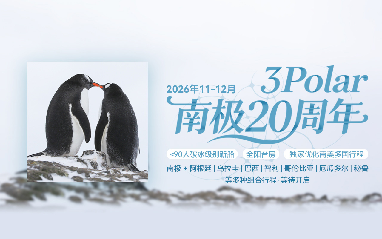 南极2026