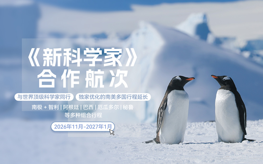 2026南极新科学家