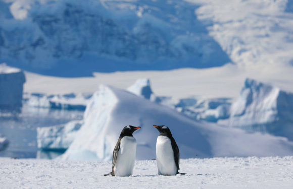 (33天)2026年极至南极南美3国深度之旅