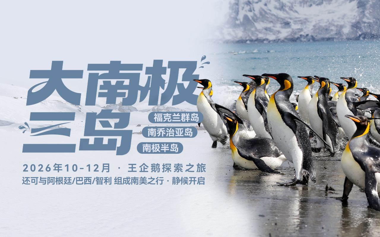 2026大南极三岛王企鹅精品团