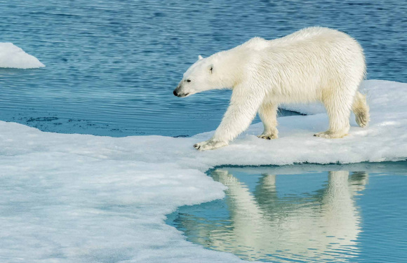(26天)2026年极至北极格陵兰+法罗+斯瓦尔巴德群岛深度探索之旅